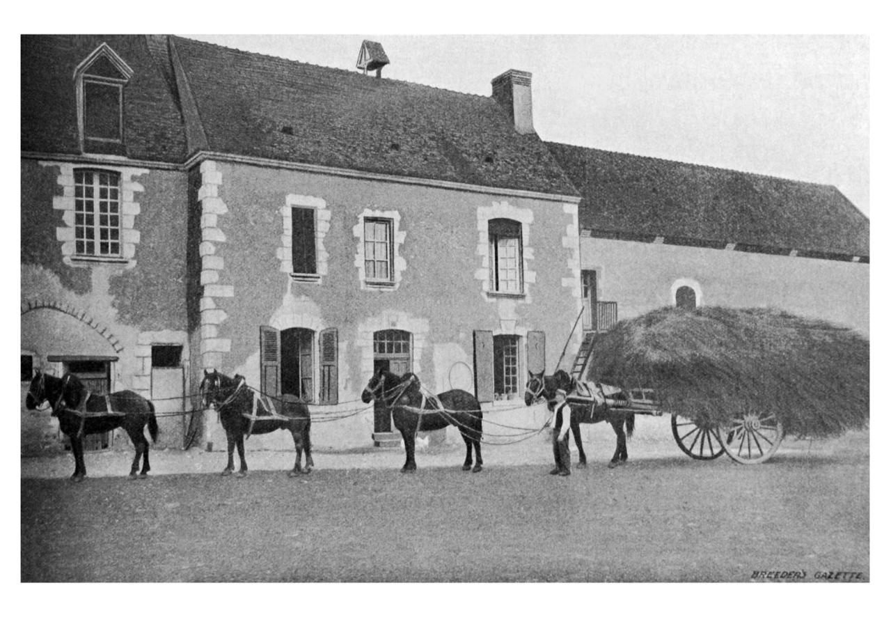 Manoir Du Bois Joly - De Berger Country house